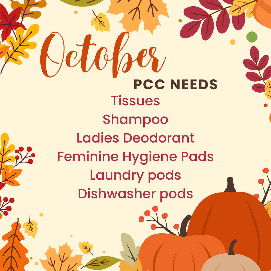 updated April PCC Needs